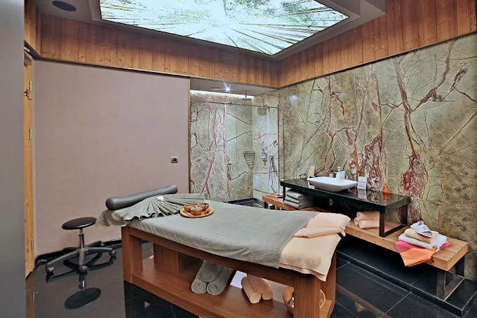Dosso Dossi Hotels- & Spa Downtown İstanbul